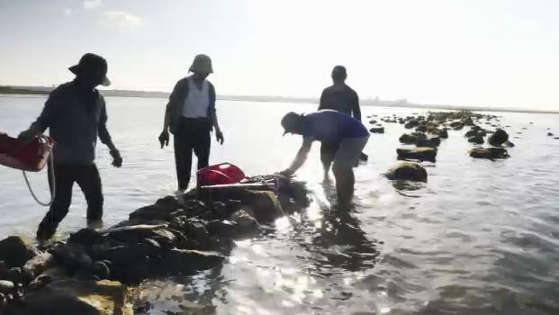 轉型與共榮：活化魚灶，喚回漁村自信。（圖／三立永續辦公室提供）