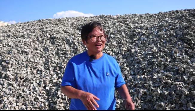 點石成金：王功媳婦卓淑惠與蚵殼再生傳奇