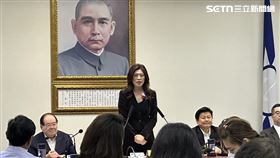 鄭麗文中常會發言。（圖／記者詹宜庭攝影）