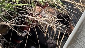 水溝內傳陣陣哀嚎！93歲阿公墜落全身傷受困　熱血學生救一命獲讚聲（圖／翻攝自Threads @aka.yot）