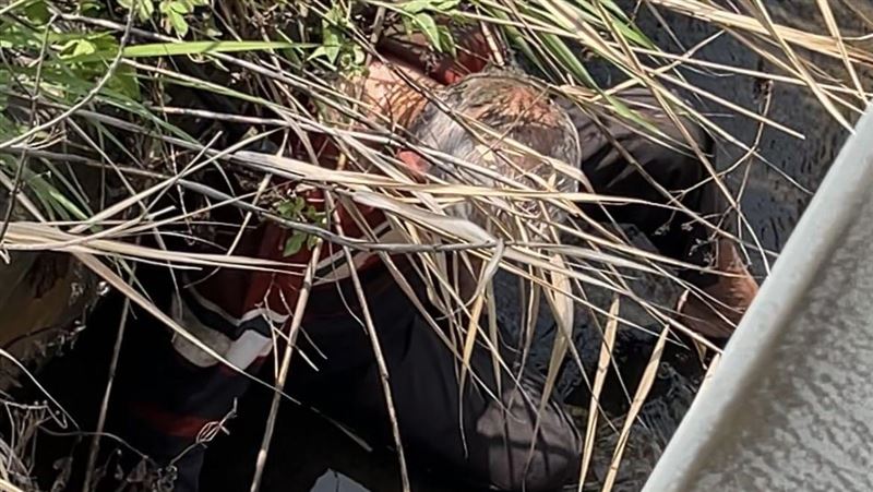 水溝傳陣陣哀嚎!93歲阿公墜落滿身傷受困