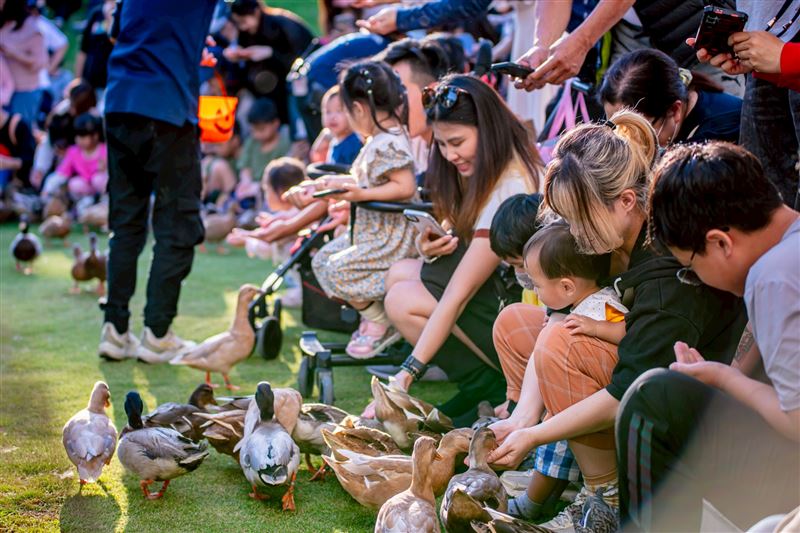 入住力麗觀光日月潭旗下飯店，至「九九峰動物樂園」享成人門票折抵優惠，走入天幕鳥園近距離賞鳥互動。（圖／飯店旅宿業者提供）