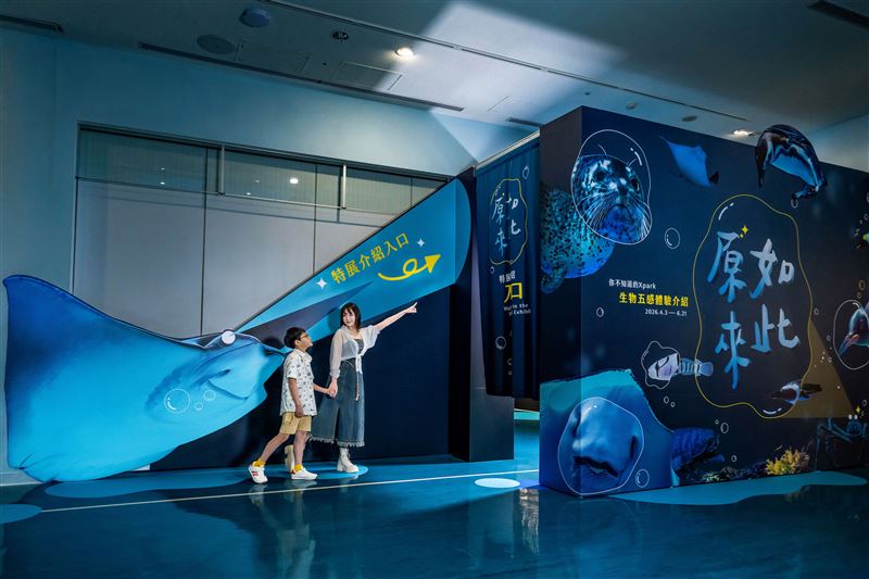 4月3日至6月21日Xpark春季探索《原來如此！！你所不知道的Xpark》正式登場。（圖／Xpark提供）