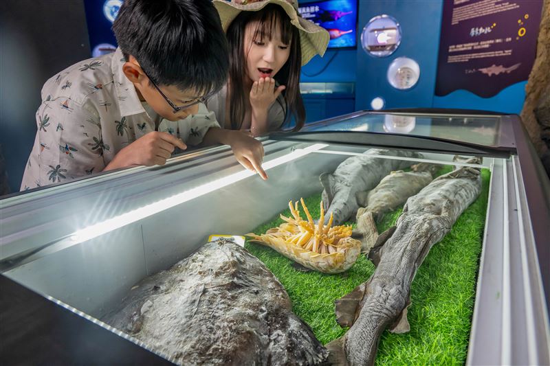 「深海生物標本展示」，有機會親手觸摸深海生物標本，一窺深海生命的真實樣貌。（圖／Xpark提供）
