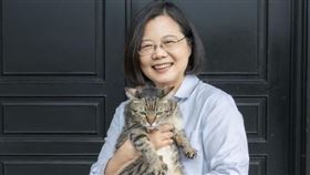 蔡英文重返台中豐原「德川家康」社區，笑談2貓2狗家庭地位。（圖／翻攝自IG @tsai_ingwen）