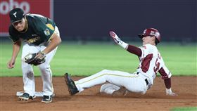 樂天桃猿外野手陳晨威跑出生涯第200盜。（圖／樂天桃猿提供）