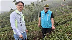 温世政爭取春茶旱害補助，南投縣府擬擴及全縣。（圖／温世政團隊提供）