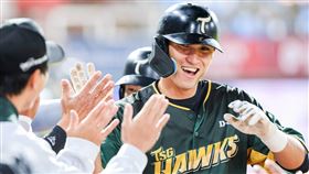 台鋼雄鷹外野手陳文杰睽違568天首轟。（圖／台鋼雄鷹提供） 