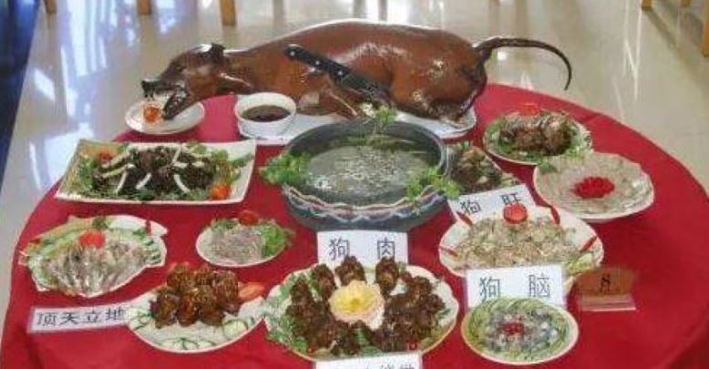 一名旅客在網路發文控訴，自己預訂了寵物友好飯店，卻收到飯店官方簡訊，大力推薦當地的特色狗肉料理，說明貴定縣盤江鎮以狗肉聞名，甚至有「狗肉一條街」。（圖／翻攝自貴定縣文旅局官網）