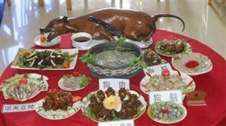 陸寵物友善飯店竟推薦吃狗肉　飼主氣炸