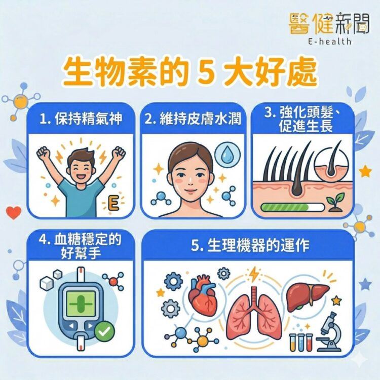 頭髮一直掉、指甲容易斷？營養師：恐是缺乏「生物素」！生物素的5大好處。（圖／醫健新聞網提供）