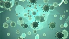 立百病毒列第五類法定傳染病！初期像感冒，「2條件」要通報、3預防方式。（圖／醫健新聞網提供） 