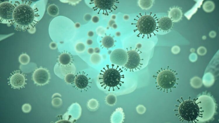 立百病毒列第五類法定傳染病！初期像感冒，立百病毒症狀差異大，小心「這些」徵兆！。（圖／醫健新聞網提供）