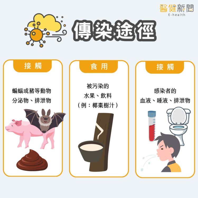立百病毒列第五類法定傳染病！立百病毒「3種傳染方式」一次看！。（圖／醫健新聞網提供）