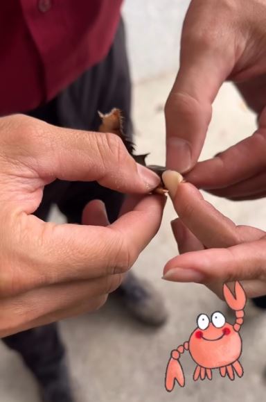 消防隊員徒手用力將斷螯扯開，婦人手指才總算恢復血色。（圖／翻攝自Threads @kb_firefighter）