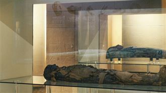 千萬購入木乃伊是真屍！一票喊進去就頭暈