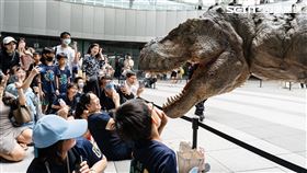 恐龍酷樂園,DINO-A-LIVE,高雄,日本,恐龍,連假（圖／高雄市教育局提供）