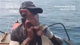 章魚，反擊，八爪罩臉，險害窒息，漁夫掙脫瞬間，網震驚：以為臉被撕掉（圖／翻攝自dailybriefglobal　IG）