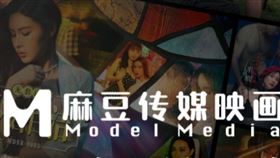 華語成人平台麻豆傳媒發布「平台停止營運的公告」，並公布倒閉的原因，讓老司機相當不捨。（圖／翻攝自麻豆傳媒官網）