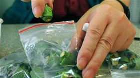 男子長期食用檳榔，導致血鈣過高與腎功能惡化。（圖／報系資料照）