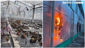 台南,消防局,蘭花,後壁,火警（圖／翻攝畫面）