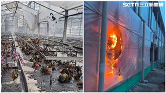 新／火燒台南後壁蘭花園區　現場慘況曝光