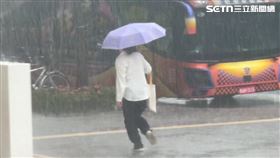 大雨,雷雨,暴雨,颱風。（圖／資料照）