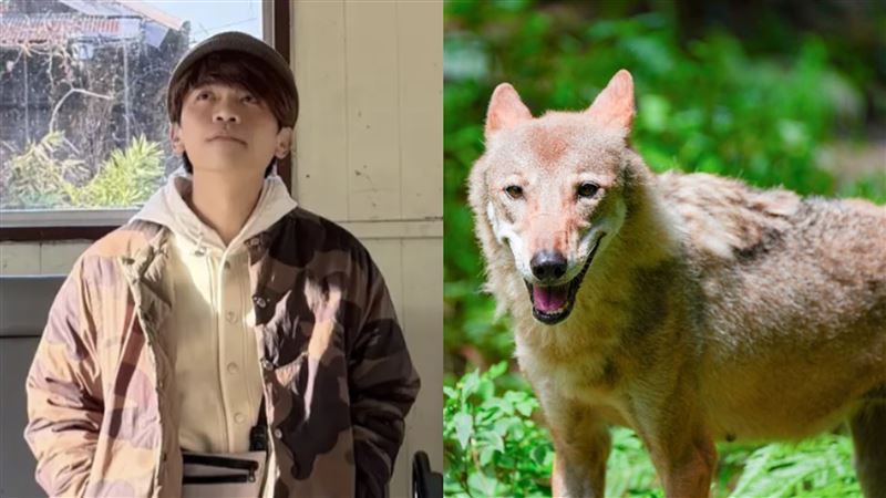 臺北市立動物園溫帶動物區的母灰狼「蘿拉」，於4月2日中午離世，享年17歲，網紅蔡阿嘎第一時間轉發相關新聞，簡單寫下「R.I.P.」，卻意外引發網友聯想，讓整起事件出現不同走向。（圖／翻攝自蔡阿嘎Threads、北市立動物園提供）