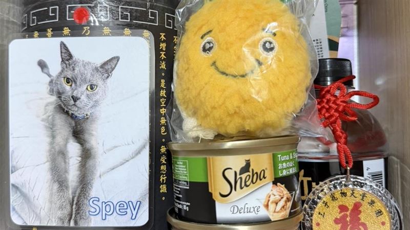 放骨灰罈，一旁還放了貓罐頭等飼料，最後放上一隻鳳梨玩偶，象徵自己永遠陪伴身邊。（圖／翻攝自鳳梨臉書）