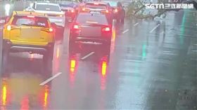 北市林女見路樹倒塌緊急煞車，卻遭後方計程車追撞。（圖／翻攝畫面）