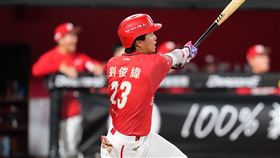 味全龍游擊手劉俊緯敲出追平3分砲。（圖／味全龍提供）