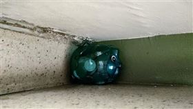 樓梯間發現小豬撲滿／爆廢公社公開版