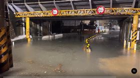新竹市太原路地下道今（4）日凌晨受鋒面強降雨影響，發生嚴重淹水。（圖／翻攝自Threads @raker_young）