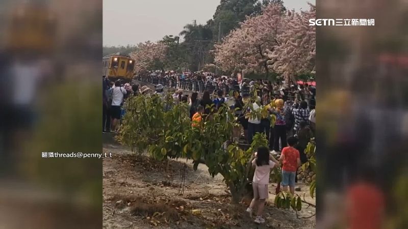 遊客為拍美照闖鐵軌　火車進站狂鳴笛