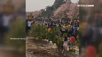 遊客為拍美照闖鐵軌　火車進站狂鳴笛