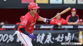 中職37年例行賽，味全龍捕手蔣少宏投手正面強襲球送回劉俊緯先馳得點。（圖／記者劉彥池攝影）