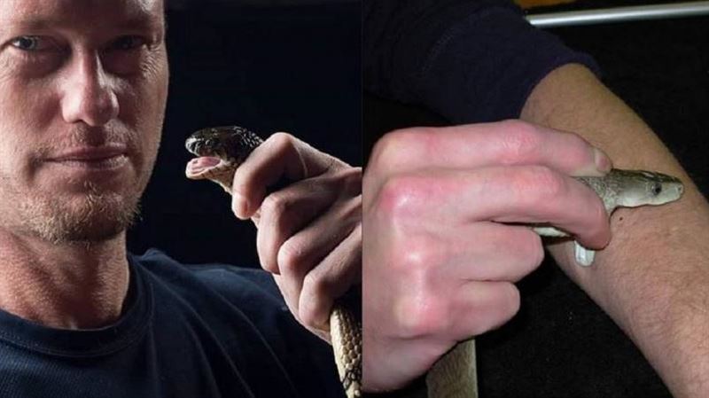 以身試毒20年!美男「遭蛇咬逾200次」