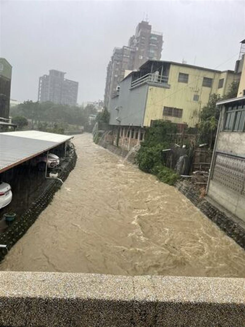 苗栗市新庄街因強降雨導致排水溝溢堤，大量吳郭魚被沖上街道。（圖／翻攝自臉書＠苗栗大小事）