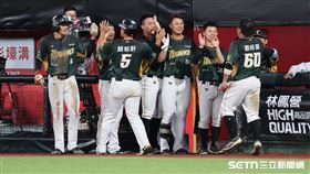 中職37年例行賽，台鋼雄鷹右外野手紀慶然敲出2分打點安打追平比數。（圖／記者劉彥池攝影）