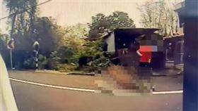 婦人,玉井,丈夫,輾斃（圖／翻攝畫面）