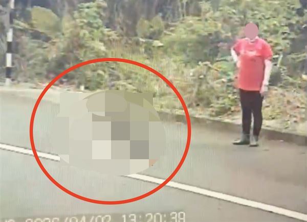 林姓婦人遭丈夫開貨車輾斃,內臟破裂慘死。(圖/翻攝畫面)