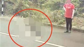 台南,婦人,貨車,輾斃,內臟破裂（圖／翻攝畫面）