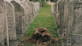 廣州一對兄妹清明掃墓時發現母親墳墓遭鄰居強行遷移，原地被蓋成張男自家的祖墳。（示意圖/pexels）