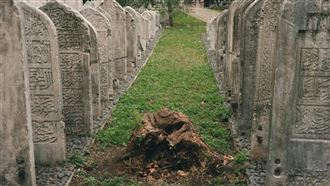 兄妹驚見母墳整座消失　 原址埋了陌生人