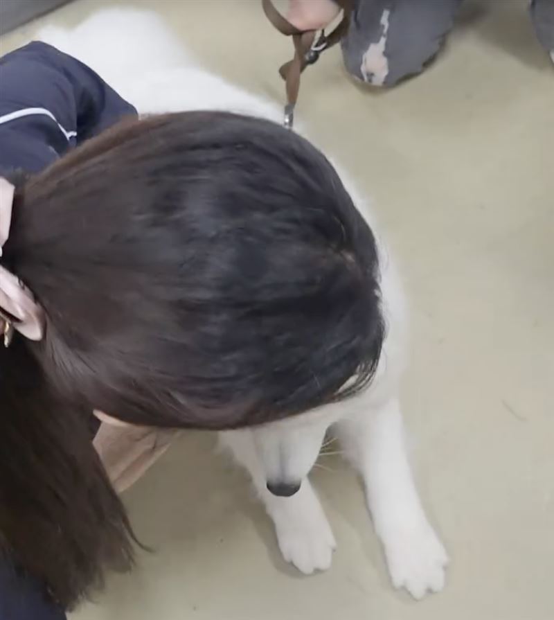 李珠珢頭上白髮引起網友注意。(圖/翻攝自IG@fubon_angels_official)