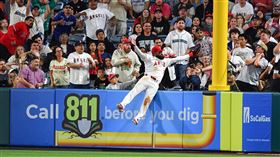 天使外野手阿戴爾（Jo Adell）單場3度在全壘打牆邊「沒收」對手的全壘打，第9局更是在接殺飛球後直接摔進觀眾席第一排。（圖／美聯社／達志影像）