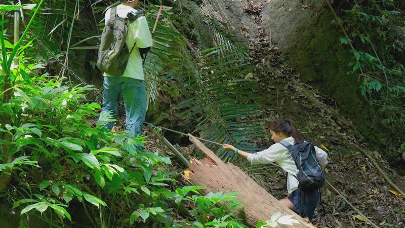 金荷娜（右）用攀爬的方式走楔隘古道。（圖／客家電視台提供）