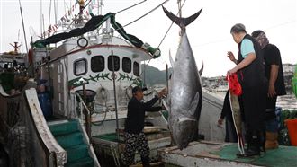 琉球籍漁船捕獲屏東「第一鮪」　4/6返港