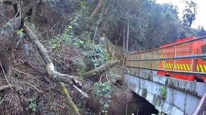 清明掃墓驚魂!88歲阿嬤情緒失控走向圳溝