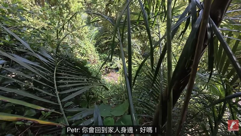 跑山獸接受委託後,在黃姓山友失蹤47天後,在山中找到僅剩遺骸的黃男。(圖/翻攝自YT Beast Runners 跑山獸)